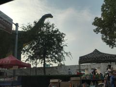 -中国西峡恐龙遗迹园