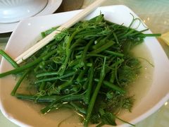 南瓜苗-东湖国际大酒店叠石酒楼
