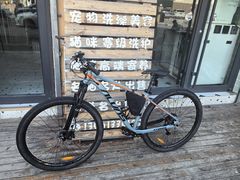 -道路口单车爱瓦士dahon大行