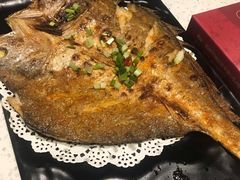 -九府羊·鲜羊火锅·烤串(新华路店)