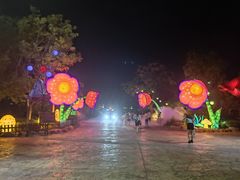 -合肥融创乐园