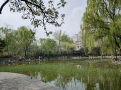 -莲湖公园