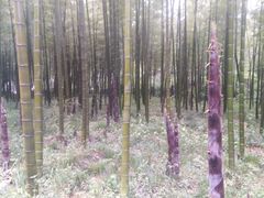 -天目湖御水温泉·度假酒店