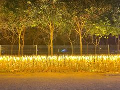 -北京鹿世界主题园