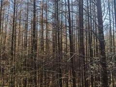 -山王坪喀斯特国家生态公园