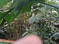 -沈阳植物园