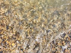 -泊石湾海滨浴场