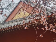 -桃花堤公园