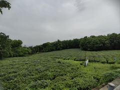 -虞山风景区