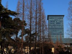 -同济大学(嘉定校区)