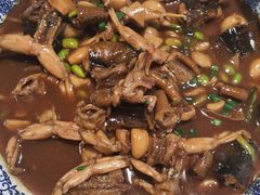 -呼吸森林·生态农庄农家乐私房菜