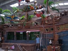 -南宫五洲植物乐园