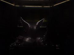 -上海和平饭店华懋阁 Cathay Room