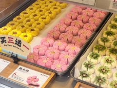 -南宋胡记(杭州灵隐寺店)