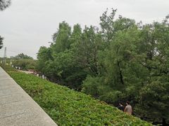 -宝安西湾红树林湿地公园