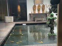 -觀芷隐轩