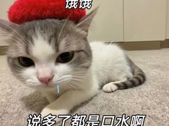 -牛New寿喜烧(龙湖金沙天街店)