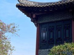 -顺峰山公园