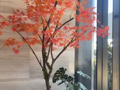 -唐宫足道·SPA·住宿24H会所(木渎店)