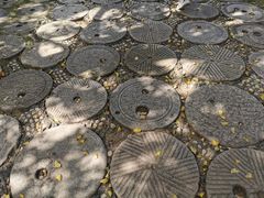 -千年银杏谷文化旅游区