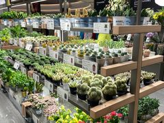 -鹿岛会员店(熙地港店)