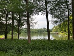 -雀儿山公园
