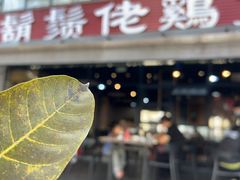 -凤兴鸡煲(宝安海雅店)