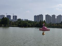 -青枫公园