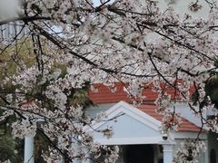 -湖北中医药大学(昙华林校区)