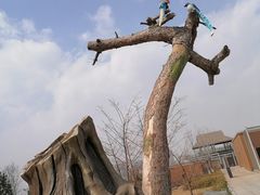 -太原动物园
