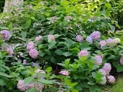 -常州古运河南大街文化旅游区-人民公园