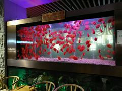-御池园(顾村公园店)