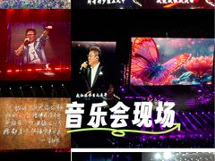 -大连体育中心体育馆