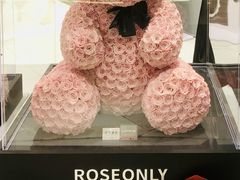 -ROSEONLY诺誓(广州K11店)