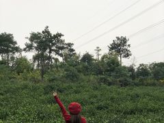 -汤山温泉房车营地 茶温泉