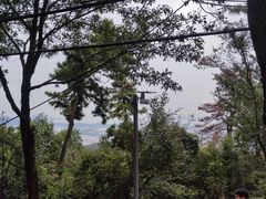 -惠山国家森林公园