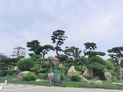 -罗红摄影艺术馆