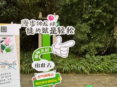 -神龙峡风景区