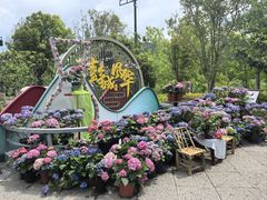 -回龙窝历史文化街区