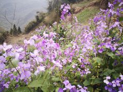 -九峰山
