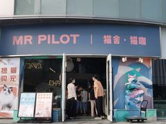 -飞行喵MR PILOT|猫舍·猫咖(静安大融城店)