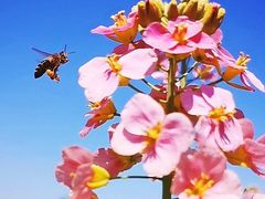 -中国天府农业博览园