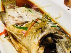-辽宁大厦海鲜渔港