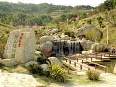 -南山植物园