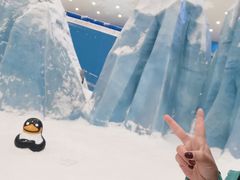 -长沙湘江冰雪世界