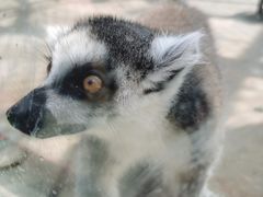 -栾川竹海野生动物园