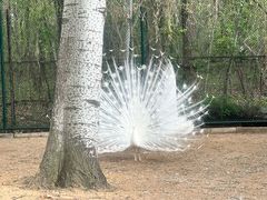 -秦皇岛野生动物园