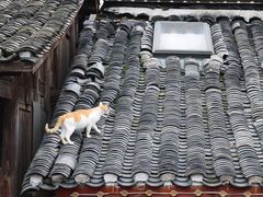 -金必轩(青岩店)