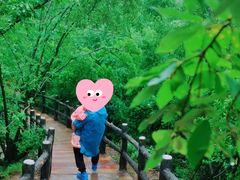 -栾川竹海野生动物园