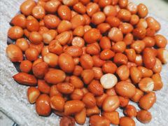 炒花生-313羊庄铁锅烀羊肉(望京店)